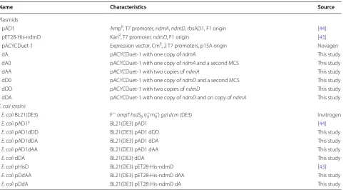 Fig. 2 Degradation of TP by metabolically engineered 30 °C with 400 rpm shaking, and metabolites were quantified via E