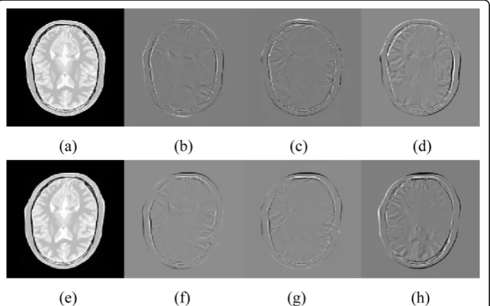 Figure 6 (f)-(h). Here, the parametersRegistration results are shown in Figure 5(b)-(d), Figure 5 (f)-(h), Figure 6(b)-(d) and a = 0.5, b = 0.2 are used for the proposed algo-rithm