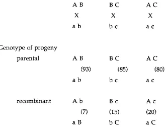 Figure 1.5: Assignment of the tentative order of the three genes on the basis 