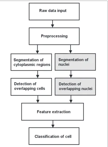 Figure 1 Block diagram of a typical automated screening system. The possible blocks of a typicalautomated Pap smear diagnosis system where focus range of our study is shown in the gray blocks.