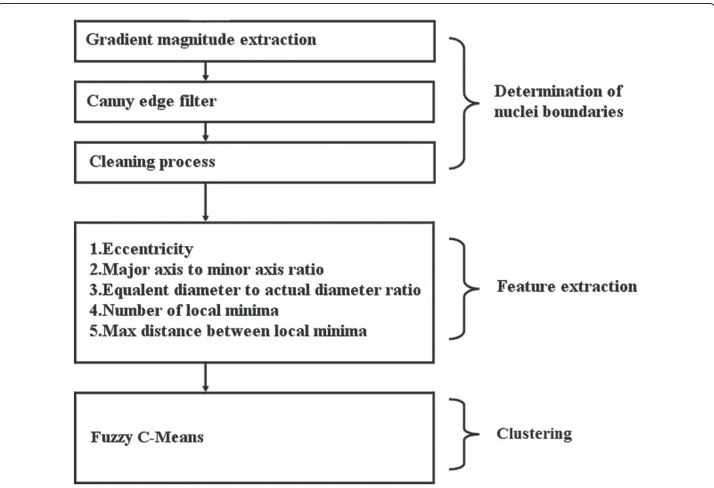 Figure 2 Basic steps of our method. Basic computational stages of the proposed approach are detailed in ablock diagram.