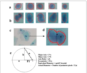Figure 4 Extracted features. Five sample regions are given in (a) and (b) as an example of both single andoverlapped nuclei