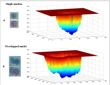 Figure 5 Visualisation of local minima points. Local minima points are marked with a white pixel (lefthandside images) and illustrated with intensity mesh in shades of blue (right handside images) for singleand overlapped nuclei regions inside a previously