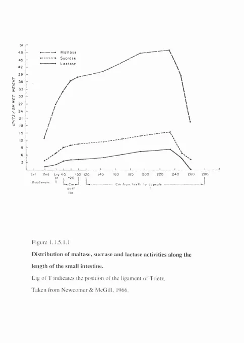 Figure 1.1.5.1.1