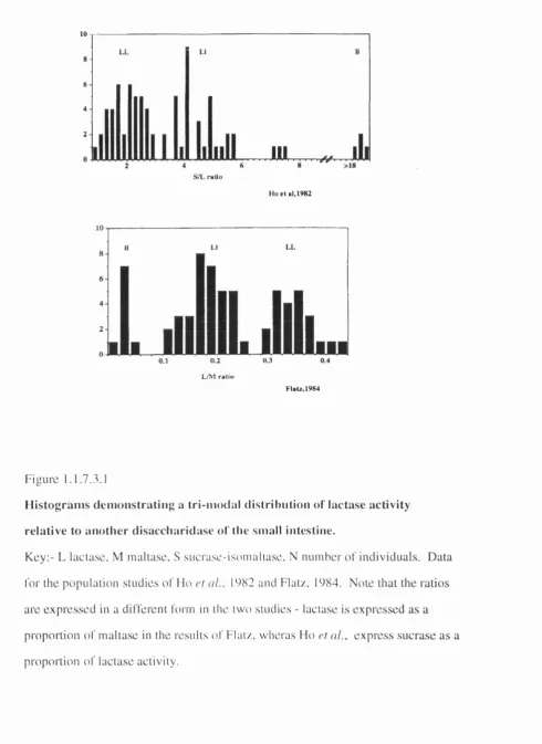 Figure 1.1.7.3.1