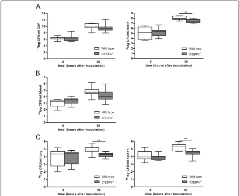Figure 2 C/EBPδ−/− mice have less bacterial outgrowth in brain, lung, and spleen at 30 h after pneumococcal meningitis