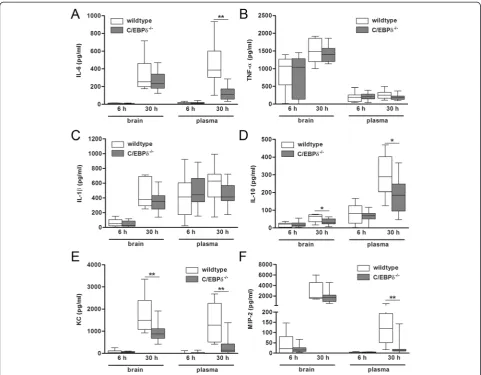 Figure 3 C/EBPδ deficiency modifies the inflammatory response during pneumococcal meningitis