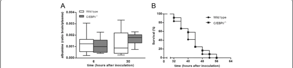 Figure 5 Effect of C/EBP(LDH;δ deficiency on organ damage during pneumococcal meningitis