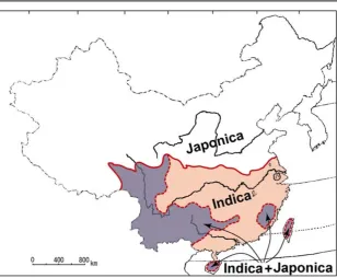 Fig. 2 The traditional areas