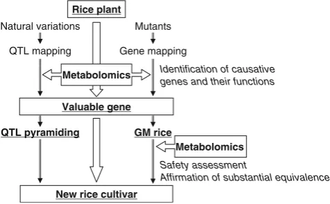Figure 1in a sequence of investigations for rice breeding. Conven-tional forward and reverse genetics, such as QTL mappingderived from the phenotypes of natural rice variants ortarget gene mapping of spontaneously or artificially occur-ring mutants, have r