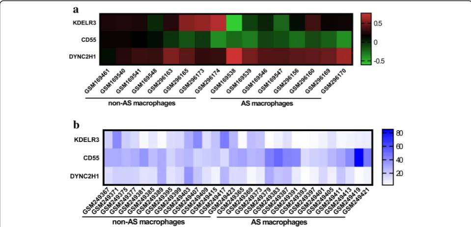 Fig. 5 Results of hierarchical clustering showing that the hub genes can differentiate AS and non-AS macrophages in the (a) GSE7074 and (b)GSE9874 datasets