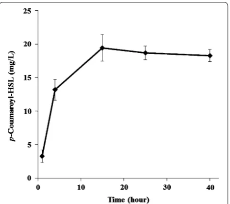 Fig. 5 De novo biosynthesis of p‑coumaroyl‑HSL by DN1 strain. p‑Coumaroyl‑HSL production from glucose using E