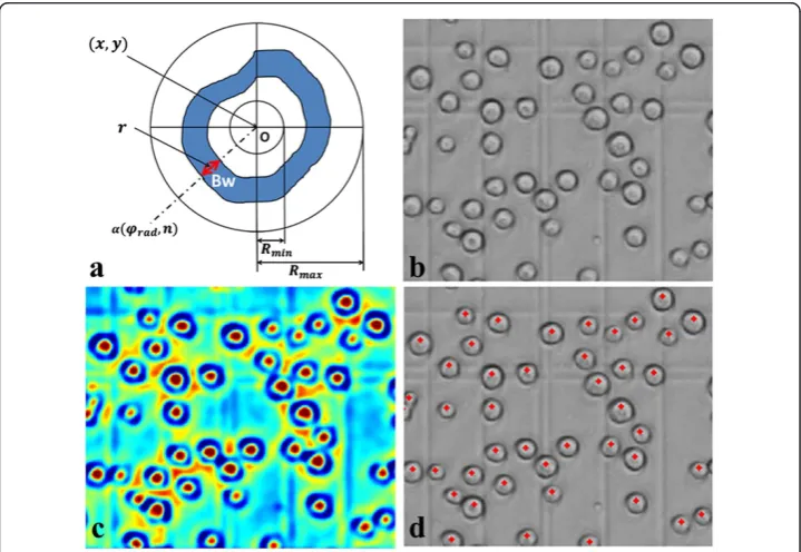Figure 7 TSBF for cell detection. (a) Schematic of the SBF supports region; (b) Sf9 insect cells undermicroscopy; (c) image filtered by TSBF; (d) cell detected results on the same image using non-maximalsuppression.