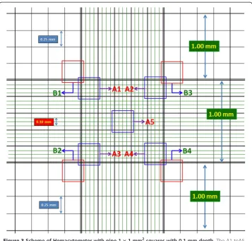 Figure 3 Scheme of Hemacytometer with nine 1 × 1 mm2 squares with 0.1 mm depth. The A1 toA5region is divided into 1/25 mm2 regions, and the B1 to B4 region is divided into1/16 mm2 regions.