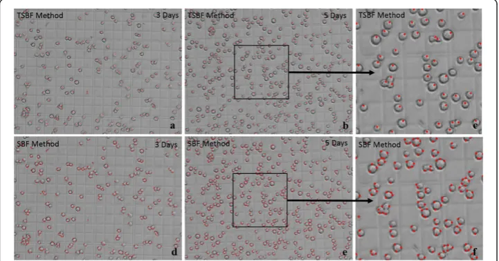 Figure 6 Sf9 insect cell detection comparison between TSBF and SBF method. (a) TSBF detectingresult on the 3rd day