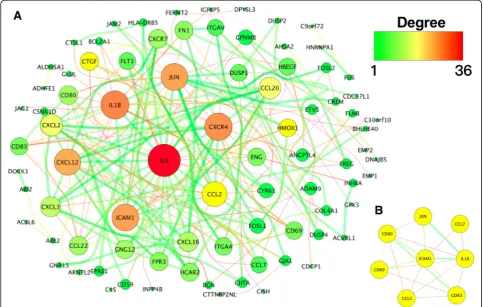 Fig. 5 The enriched gene ontology terms and pathways of the differentially expressed genes (DEGs)