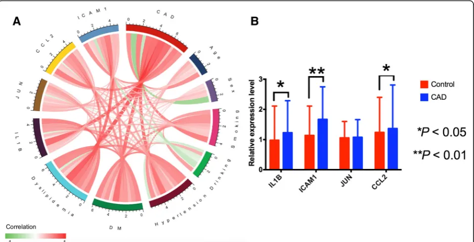 Fig. 7 The relationship among CAD, genes and several environmental exposures and validation with RT-qPCR