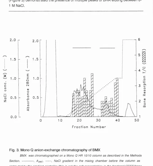 Fig. 3. Mono Q anion-exchange chromatography of BMX