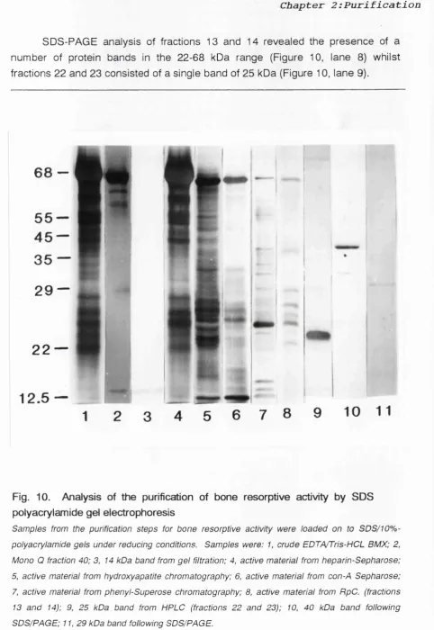 Fig. 10. 