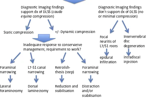 Figure 2 Suggested treatment algorithm for the management of degenerative lumbosacral stenosis in dogs pending a more evidence-based approach.