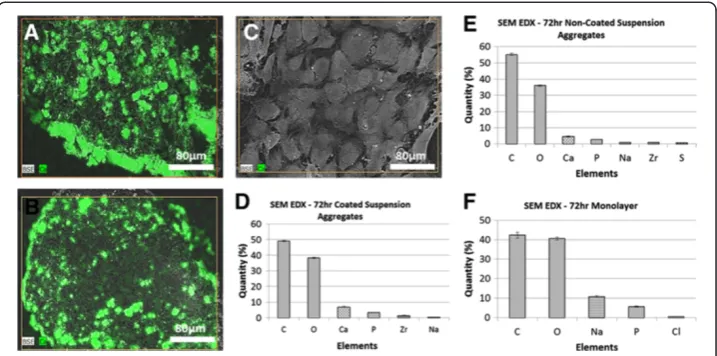 Figure 6 SEM-EDX images and element analysis for the cells in the three types of cultures at72 hour