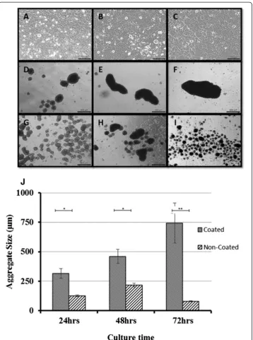 Figure 1 Optical images taken for the three types of cultures (A-C: monolayer; D-F: coated substrate;G-I: non-coated substrate) over three culture time points (A, D, G: 24 hours; B, E, H: 48 hours; C, F, I:72 hours)