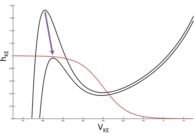 Fig. 4 Saddle-node bifurcation forVinduces a saddle-node bifurcation. We illustrate this bifurcation in the KE