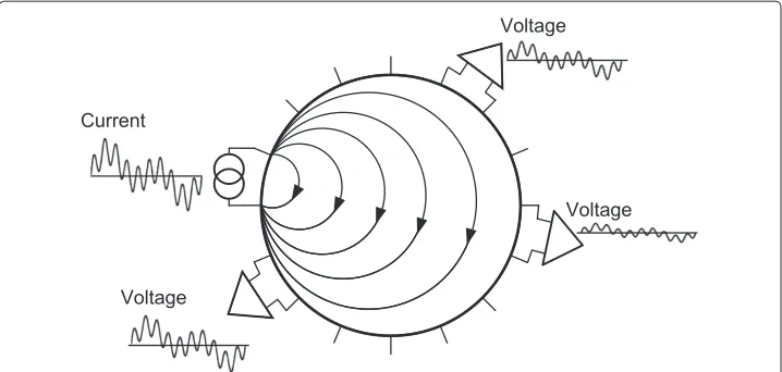 Figure 4 Conceptual diagram of multi-frequency waveform multiplexing. As an example, the mixedsinusoidal waveform with three different frequencies is used for current injection