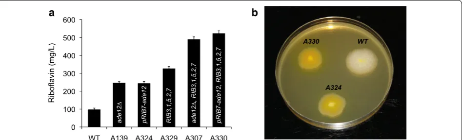 Fig. 6 Riboflavin overproduction in the engineered A. gossypii. a quatification of riboflavin production in A