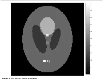 Figure 1 The shepp-logan phantom.