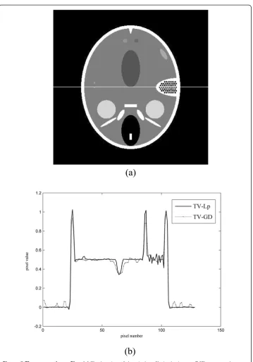 Figure 5 The gray-scale profiles. (a) The location of the pixel profile in the image. (b)The gray-scaleprofiles of the reconstructed images from 30-view data.