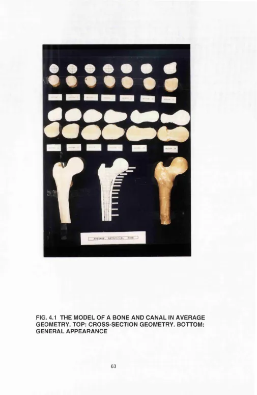 FIG. 4.1 THE MODEL OF A BONE AND CANAL IN AVERAGE 