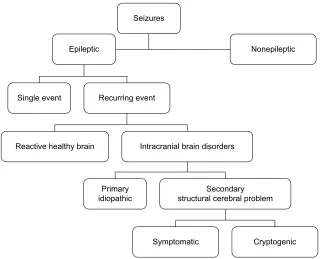 Figure 1 Classification of seizures by type in horses. 
