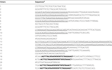 Table 2 Oligonucleotides used in this study