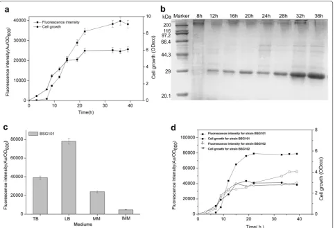 Fig. 2 Identification of the expression level and patterns of GFP in recombinant was determined by the total fluorescence intensity at ODBSG101 (medium