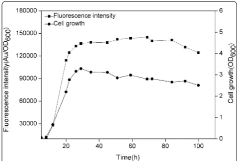 Fig. 4 The expression level of GFP controlled by the mutant PsrfA (mutPsrfA) in B. subtilis 168