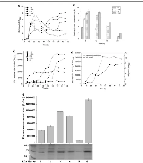 Fig. 5 The effect of different concentrations of glucose on the Pharboring wild-type Pthe control