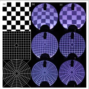 Figure 3 Reference images, original and projected.projected onto the cupola. Reference images used for the comparison of thetwo projection approaches