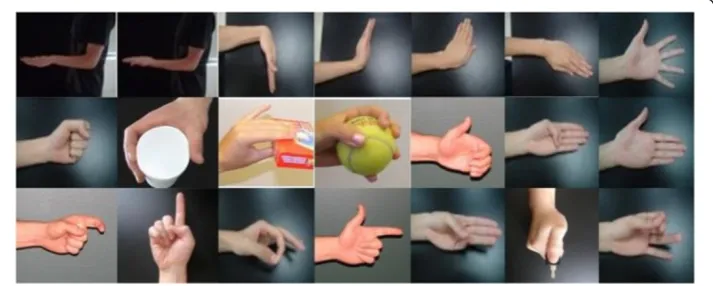 Figure 1 21 classes of forearm and hand movements included in the study.