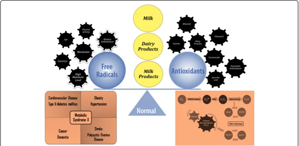 Fig. 1 Representative figure for antioxidant properties of milk and dairy products