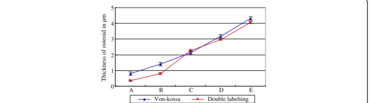 Figure 6 Results of fluorochrome double labeling. The explant models of cancellous bone were treatedwith Tetracycline hydrochloride in the first 6 days, then Calcein from the 9th to the 14th day and the 16th tothe 21st day
