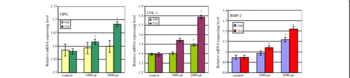 Table 7 OPG and BMP-2 effect of bone explant models (n=3)