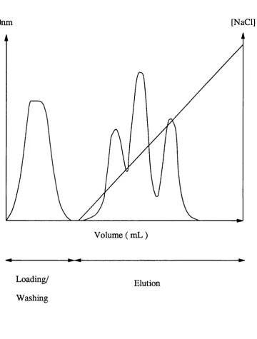 Figure 2.1 A chromatogram containing three peaks.