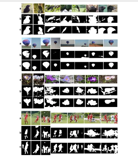 Figure 6 Segmentation results obtained before and after sharing appearance similarity