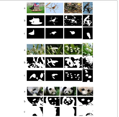 Figure 7 Failure cases. (a) The input images, (b) the segmentation results, and (c) the ground truth.