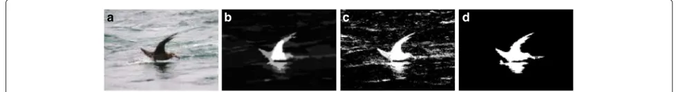 Figure 2 Saliency detection based model initialization. (a) The input image, (b) the saliency detection result, (c) the segmentation result builton GMM, and (d) the segmentation result obtained after guided filtering.