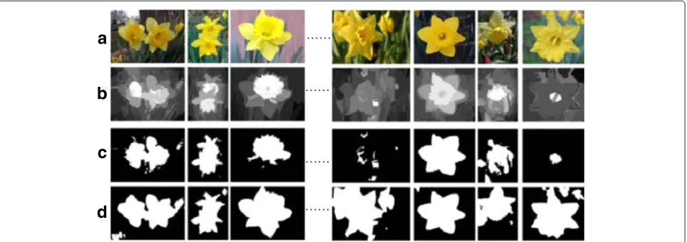 Figure 3 The segmentation results obtained before and after message transferring. (a) The input images, (b) the saliency detection results,(c) the segmentation results obtained in the initial stage, and (d) the segmentation results obtained after message transferring.