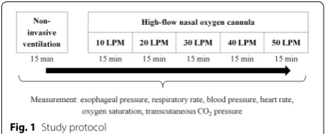 Fig. 1 Study protocol