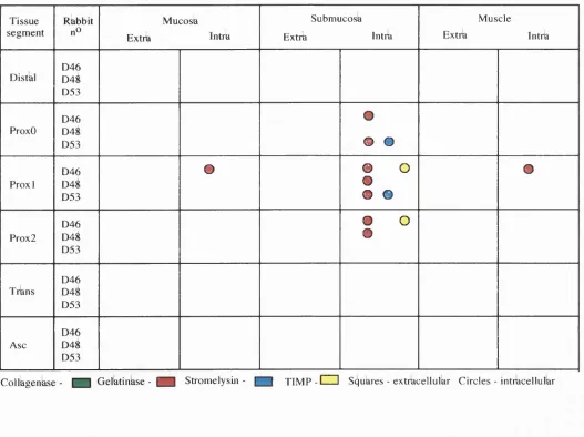Table 5.IX - Obstruction model