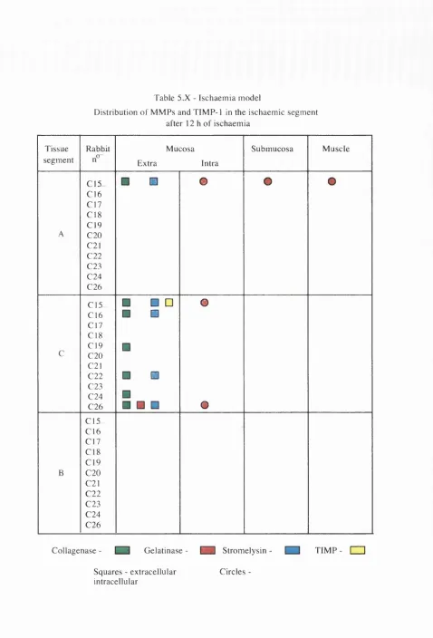 Table 5.X - Ischaemia model